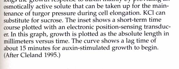 Stimulation des Streckungswachstums durch Auxin Die Streckung der Hafer-Coleptilen zeigt immer eine lag-phase von meist