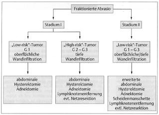 Einleitung und Problemstellung - 22 - Abbildung 6: Differentialindikation zur chirurgischen Behandlung von Patientinnen mit Endometriumkarzinom (BALTZER et al., 1999, Seite 204) 1.2.5.
