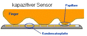 Optischer Sensor Bei den optischen Sensoren besteht das Aufzeichnungsgerät prinzipiell aus einer Lichtquelle (LED) und einer CCD-Kamera, die sich beide im Gerät befinden.