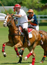 Irene Gräff, one of the best Swiss lady polo players Groom with horses Markus Gräff, president of Polo Park Zürich, with his Gräff Capital team won the Zurich Open three times (in 2003, 2006 and