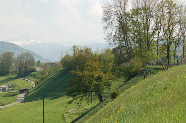 Distelfalter: eine Leitart für blütenreiche Magerwiesen Die Naturwerte des Projektgebietes: Bei der Beurteilung der Landschaft im Bereich der Naturwerte fällt auf, dass es qualitativ zwei völlig