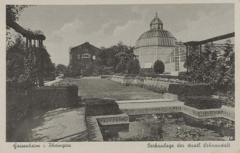 Fotopostkarte des Verlags W. Bogler; Geisenheim. - Am 9.10.