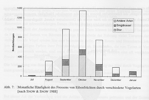 Abb. 7: Monatliche Häufigkeit des Fressens von Eibenfrüchten durch verschiedene Vogelarten [nach SNOW & SNOW 1988] Die Drosselarten werden auch von anderen Autoren immer wieder als wichtige Vertilger