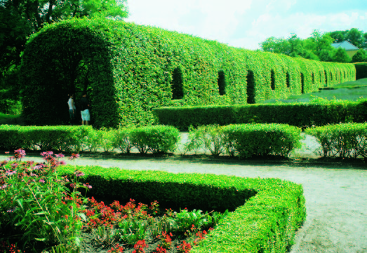 4 Vorwort Der Schnitt von Formgehölzen (engl. topiary art ) hat eine lange Tradition.
