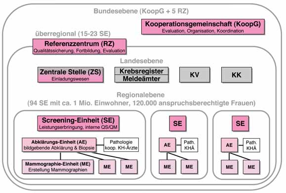 EINFÜHRUNG STRUKTUR DES MAMMOGRAPHIE-SCREENING-PROGRAMMS Abbildung 5: Struktur des Brustkrebsfrüherkennungsprogramms in Deutschland.