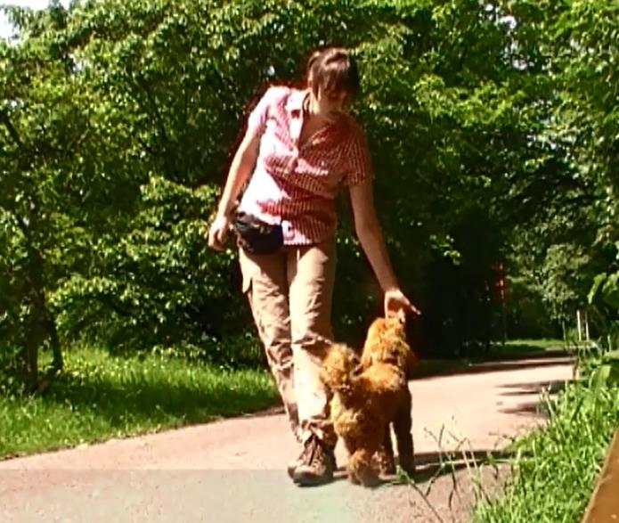 Handtouch Die Hand als Zielscheibe (sog. Target) zu verwenden ist eine schöne Möglichkeit beim Spaziergang immer wieder Kontakt mit dem Hund aufzunehmen und ihn in die gewünschte Richtung zu lenken.