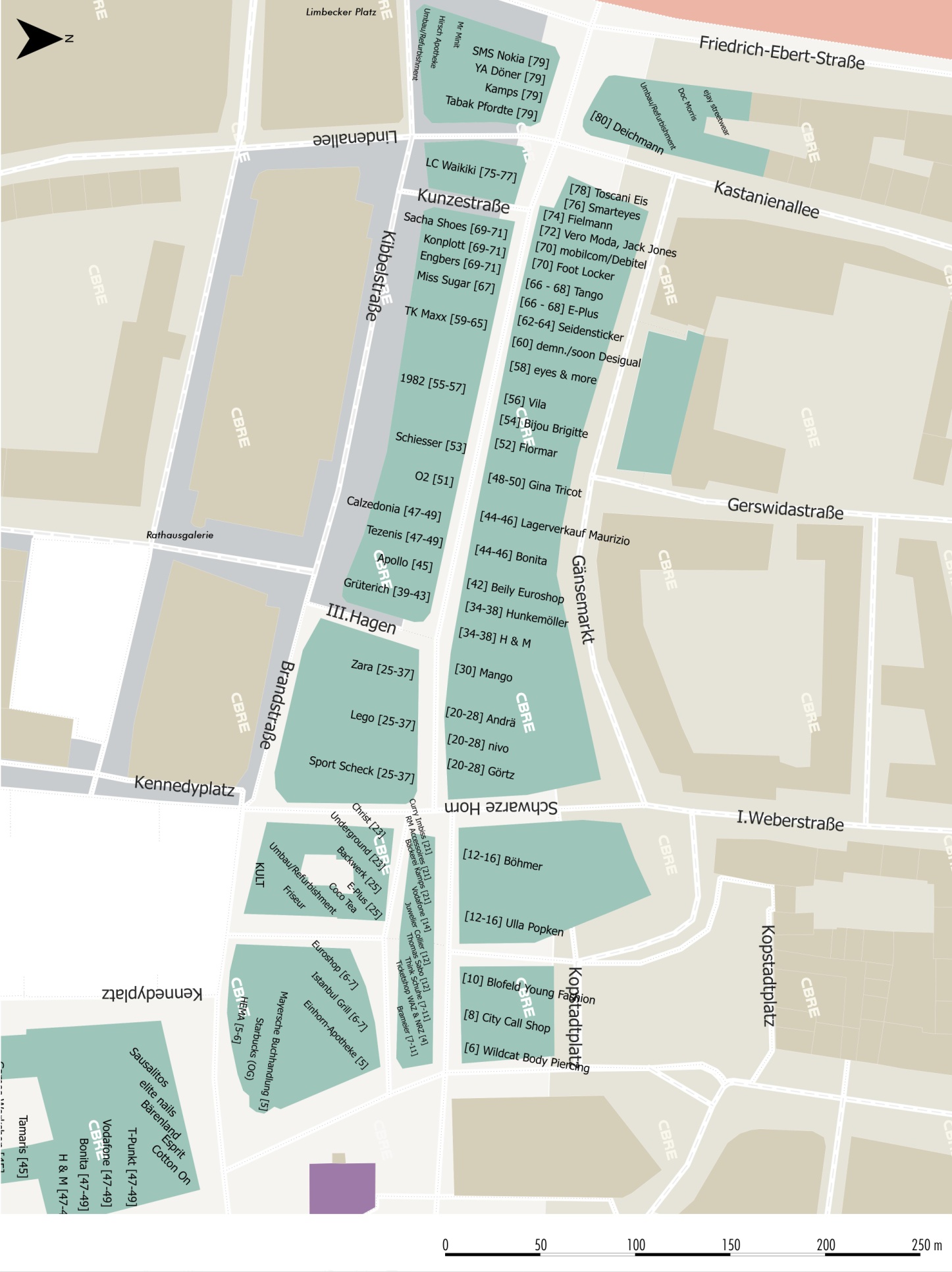 Abb. 8: Straßenlauf Limbecker Straße Q1 2013 Einzelhandelsmarkt