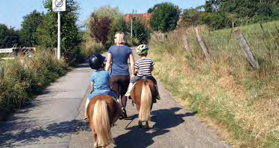 eltern- und familienbildung: sport- und erlebnisräume für die familienbande Pony Schnupperkurs Ein Reitangebot für Kinder von ca. 4 bis 7Jahren mit Eltern!