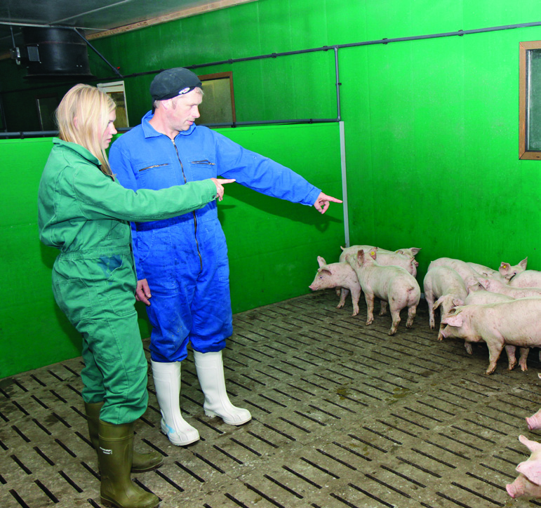 Profis mit Profil STANDORT Futter mit Schuss Die junge Schweinemästerin Christina Lackermeier hat sich in ihrer Meisterarbeit das Ziel gesetzt, mittels Rationsoptimierung die Futterkosten zu senken