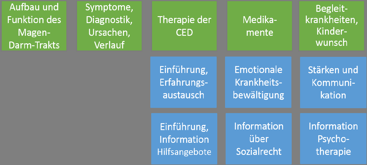 Psychologie Deutsche Morbus Crohn/Colitis ulcerosa Vereinigung, Berlin Reusch, Berding & Faller - 6.