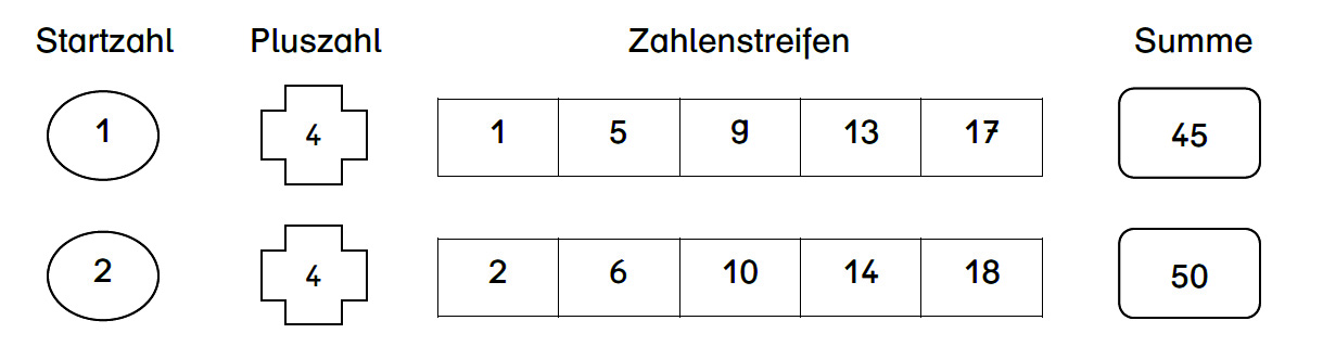 2 Was steckt dahinter? Teil 1 Bei Zahlenstreifen ist der Abstand zwischen den aufeinanderfolgenden Zahlen gleich. Die Startzahl (im ersten Beispiel oben 1) bestimmt das erste Feld des Zahlenstreifens.