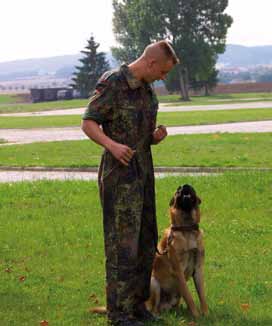 Feldjäger nehmen als Truppengattung in der Streitkräftebasis die militärpolizeilichen Aufgaben für die gesamte Bundeswehr wahr.