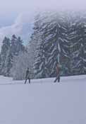 r Einsame Spuren durch die stille Landschaft ziehen, für sich selbst einen Weg suchen oder in der Gruppe ein gemeinsames Ziel erreichen. Bei den schönsten Wintervergnügen im Bayerischen Wald!