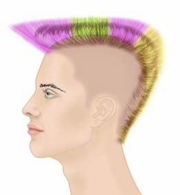 Haare schneiden 3.1 Kombination der Basisformen Betrachten Sie Frisuren - vorlagen und bestimmen Sie die Basisformen, die Sie bei einem Schnitt verwenden würden.