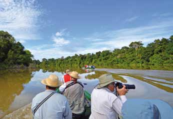 Ausflug auf dem Rio Negro Abendstimmung im Amazonas-Gebiet blick über das sensible Ökosystem mit seiner grandiosen Vielfalt. 1.500 Vogel-, 6.