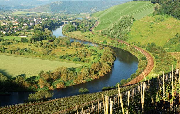 DIE SAAR DIE RUWER An der Saar wird Weinbau ausschließlich auf rheinlandpfälzischem Das Ruwertal östlich von Trier ist mit 190 Hektar Rebfläche die Gebiet zwischen Serrig und Konz an der kleinste