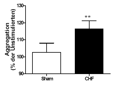 ERGEBNISSE In der Aggregometrie wurden die Thrombozyten der CHF-Tiere und Sham-Tiere mit einer ADP-Konzentration stimuliert, welche per se eine 30-40%-ige Aggregation auslöste.