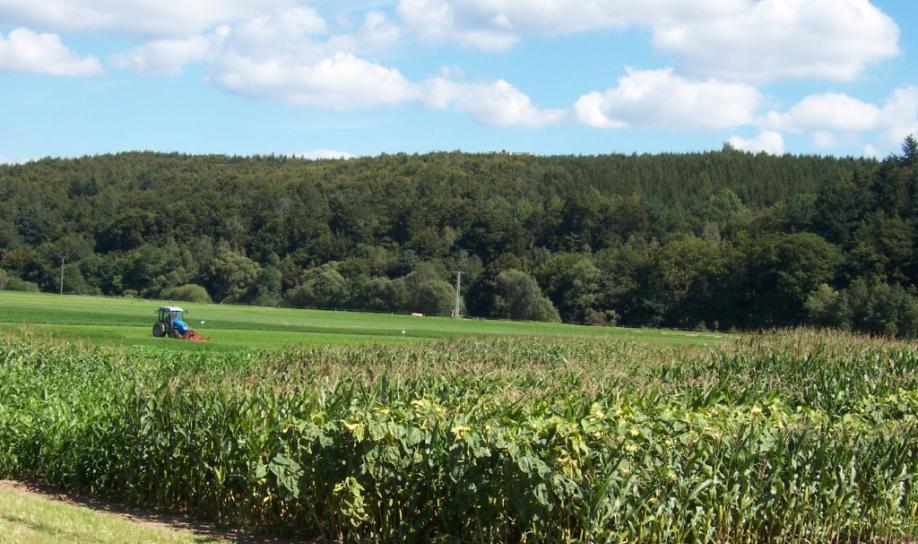 (GV + kw)/ha LF Biogaspotenzial Hessen auf Basis des Anbaues von Energiepflanzen Szenario 2: Viehhaltung in Hessen nimmt um (weitere) 15% ab.