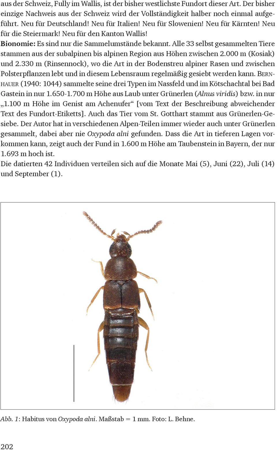 Alle 33 selbst gesammelten Tiere stammen aus der subalpinen bis alpinen Region aus Höhen zwischen 2.000 m (Kosiak) und 2.
