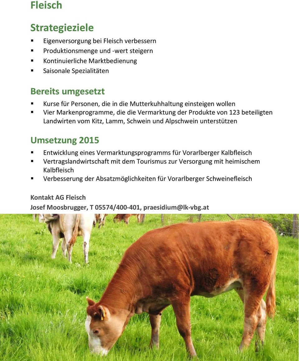 Schwein und Alpschwein unterstützen Umsetzung 2015 Entwicklung eines Vermarktungsprogramms für Vorarlberger Kalbfleisch Vertragslandwirtschaft mit dem Tourismus zur
