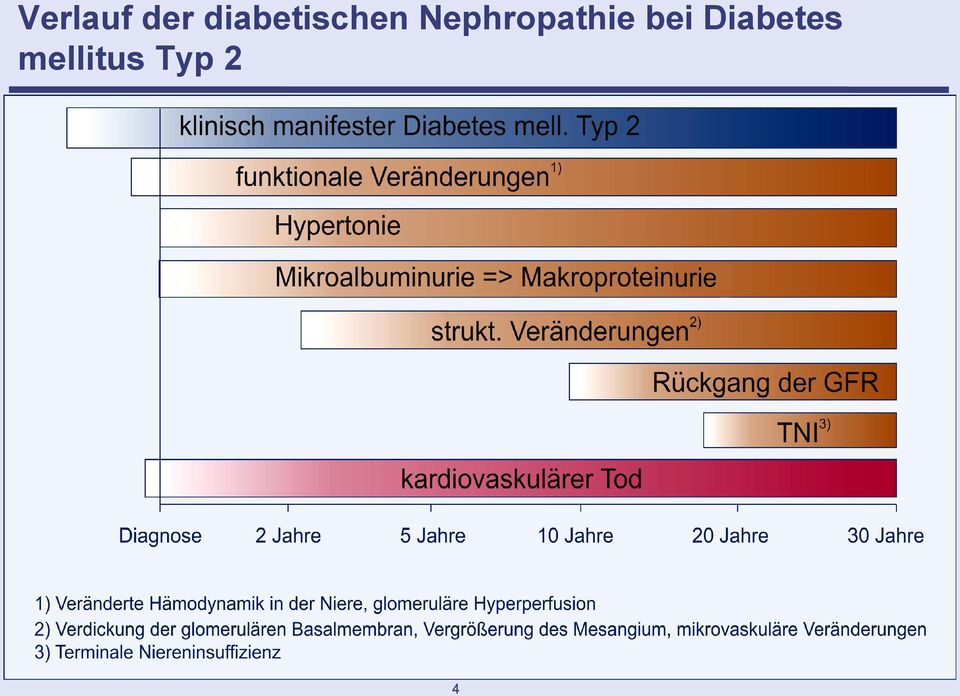 Nephropathie bei