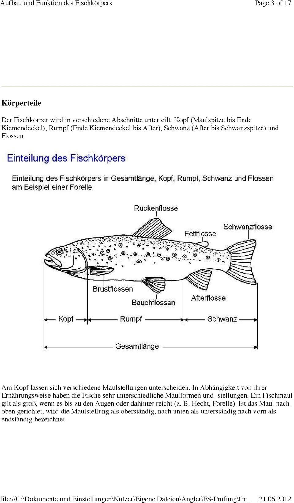 In Abhängigkeit von ihrer Ernährungsweise haben die Fische sehr unterschiedliche Maulformen und -stellungen.