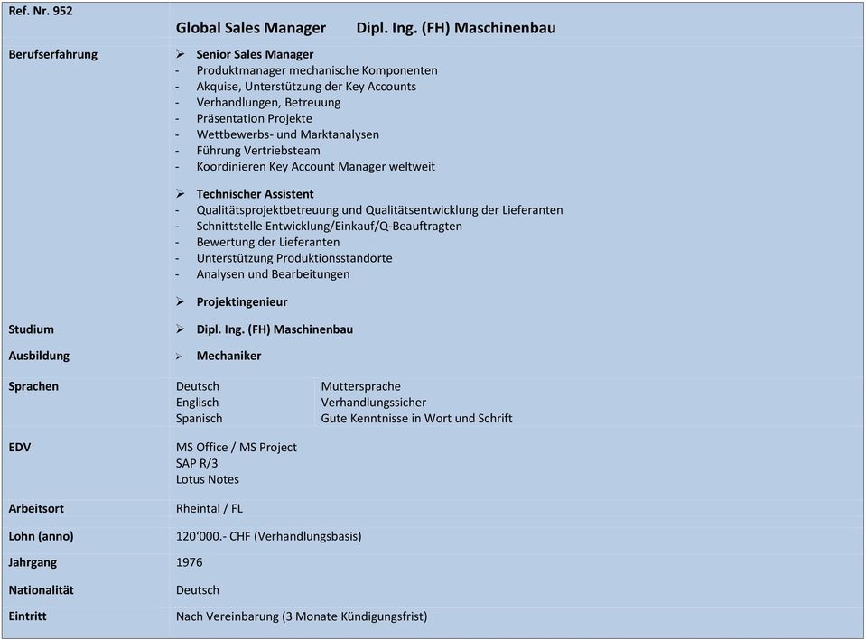 Marktanalysen - Führung Vertriebsteam - Koordinieren Key Account Manager weltweit Dipl. Ing.