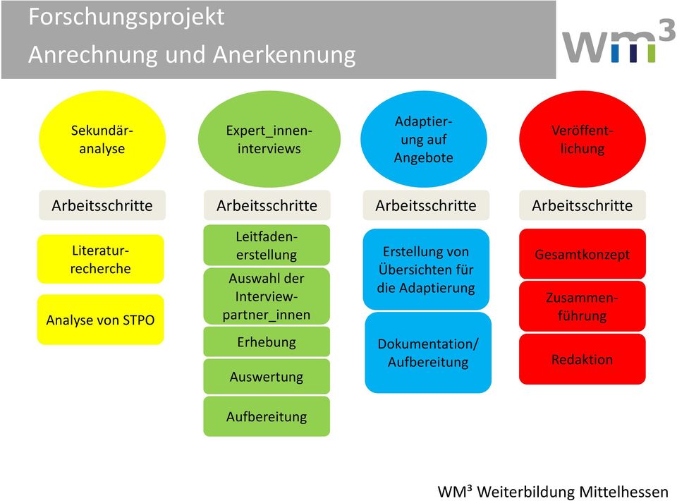 Literaturrecherche Analyse von STPO Erstellung von Übersichten für die Adaptierung Gesamtkonzept Auswahl