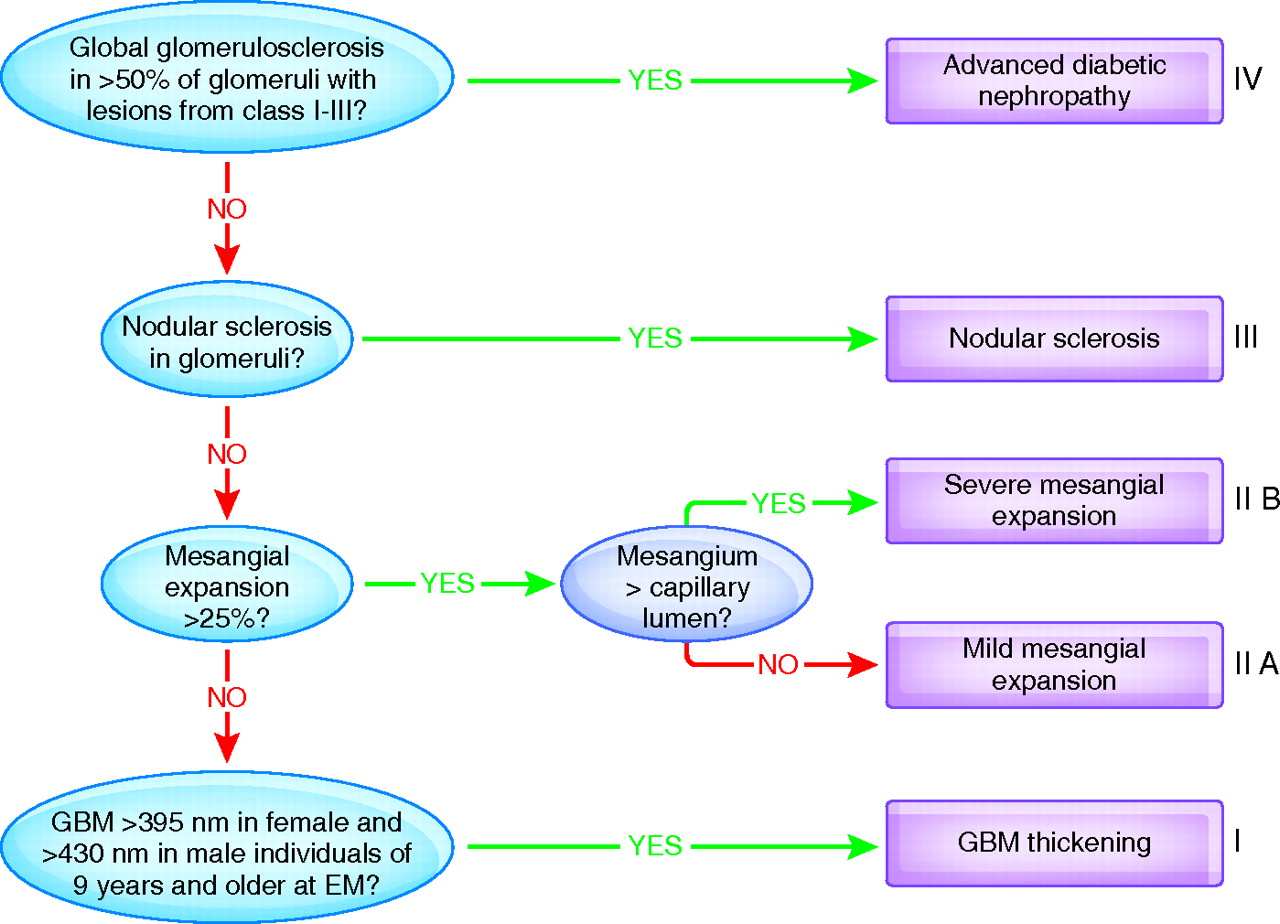 Flow chart or classiying diabetic nephropathy