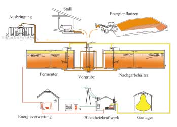 Übersicht 1: Oberösterreich zahlt die höchsten Nettopreise für Strom aus Biogas (Cent/kWh) 1) Bundesland S-HT S-NT W-HT W-NT Burgenland 5,81 (80) 4,72 (65) 9,45 (130) 6,54 (90) Kärnten 7,92 (109)