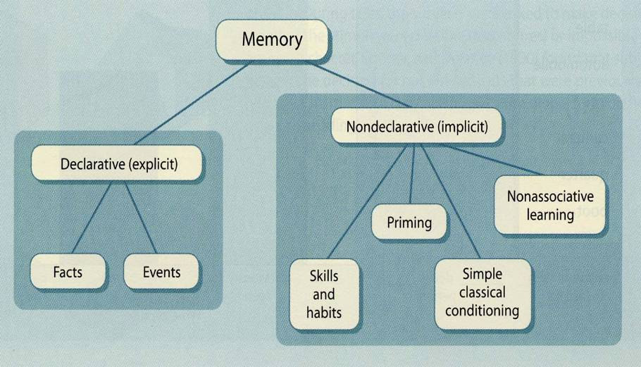 Einteilung der Gedächtnisse nach der Art des Wissens Lernen Gedächtnis Nicht deklaratives Deklaratives G. Priming Nicht assoziatives L. Fakten Ereignisse Prakt.