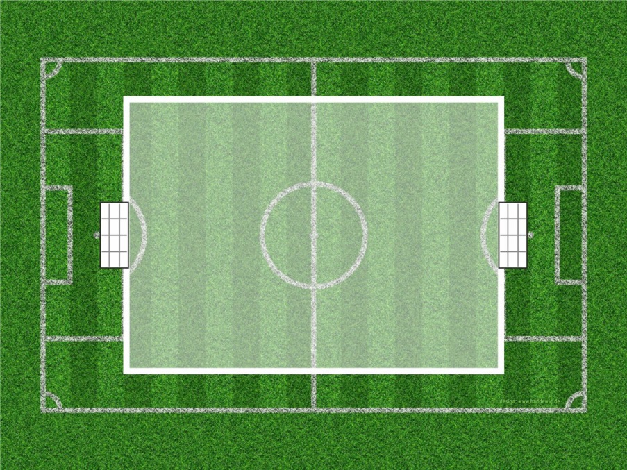 3.21 D-Mädchen 9 gegen 9 (von Strafraum zu Strafraum) Spielfeld: Eingerücktes Spielfeld zwischen den Strafräumen von 16er zu 16er Tore: 5 m x 2 m (ca.