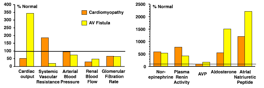 Renale Hämodynamik bei Herzinsuffizienz Gibt es ein EABV?