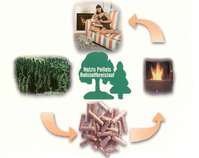 Pellets ein Produkt der Natur Die innovativste Form mit Holz zu heizen ist die Pelletsheizung