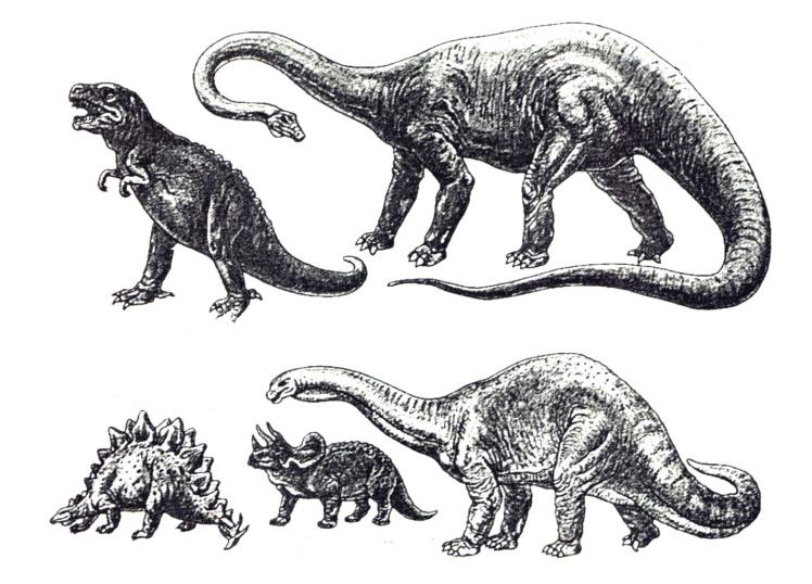 Lösung C1 / 11 3.2 Tyrannosaurus Diplodocus Die Dinosaurier waren gigantische Tiere. Sie lebten vor 100 Millionen Jahren auf der Erde. Der größte Dinosaurier war der Diplodocus.