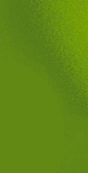 HANS PETER STEINER SYNCHRO TEAM KOMPERDELL BAMBOO ROHR Nostalgie im Erscheinungsbild und High-Tech im Inneren: Komperdell s leichtestes 100 % Carbon Featherlight Rohr im Kern und Bambus-Laminierung