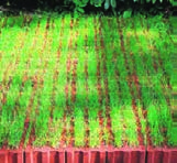 32 ABC-Rasenklinker. Überall dort, wo eine Grünfläche mit offener Versickerung und gleichzeitig ein fester, befahrbarer Pflasteraufbau benötigt werden, finden die ABC-Rasenlochklinker ihre Anwendung.