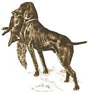 FACHAUSSCHUSS: HUNDEWESEN Information zum Österreichischen Jagdgebrauchshundeverband (ÖJGV) DIE GESCHICHTE DES VERBANDES 1883 wurde das Österreichische Hundestammbuch von Mitgliedern der Jägerschaft