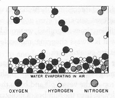 Dynamik an der Wasser-Luft