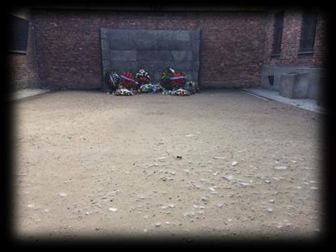 Auschwitz 2016 Besichtigung von Auschwitz-Stammmlager und Birkenau Gemeinsam mit verschiedenen anderen Schulen, ist der mit insgesamt 10 Schülern und 2 Lehrern mit nach Auschwitz gefahren.