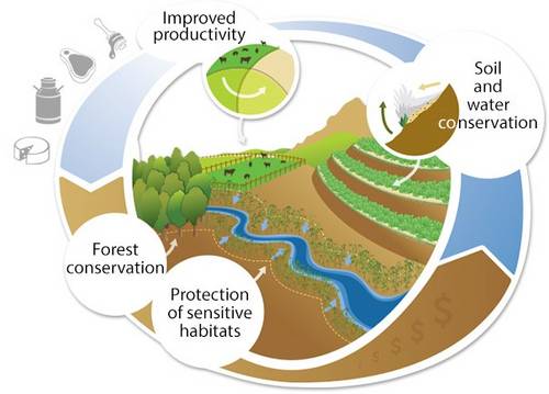 Incentives for Ecosystem Services Ein integriertes Paket - Kooperation und Koordination Ohne Anreize sind Landwirte kaum in der Lage Zeit und das nötige Kapital zu investieren, um nachhaltige