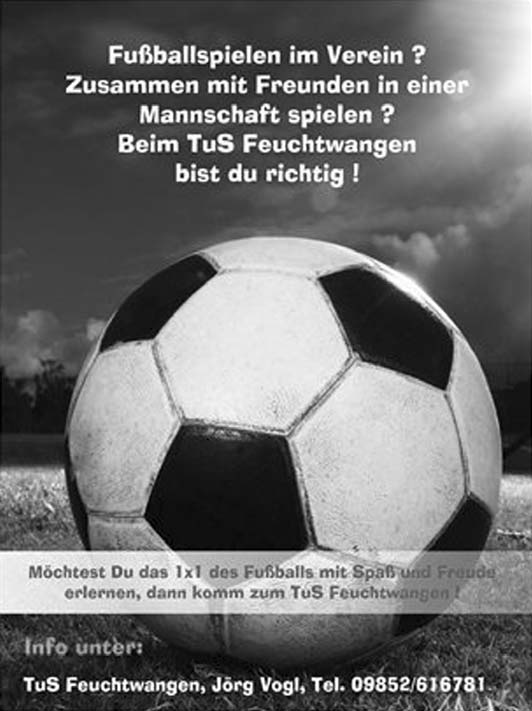 20 Amtliches Mitteilungsblatt der Stadt Feuchtwangen Nr. 17/2014 TuS Feuchtwangen Abteilung Fußball D9-Junioren I (Jahrgang 2002/2003) Henning Backhaus, Tel.