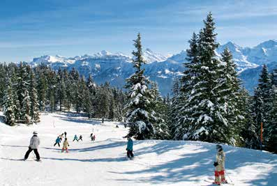 > skifahren und boarden > familienschneesportpackage Einen Tag auf den Pisten Skifahren, Snowboarden und Schlitteln oder auf den Winterwanderwegen wandern und zwischendurch neue Kräfte beim