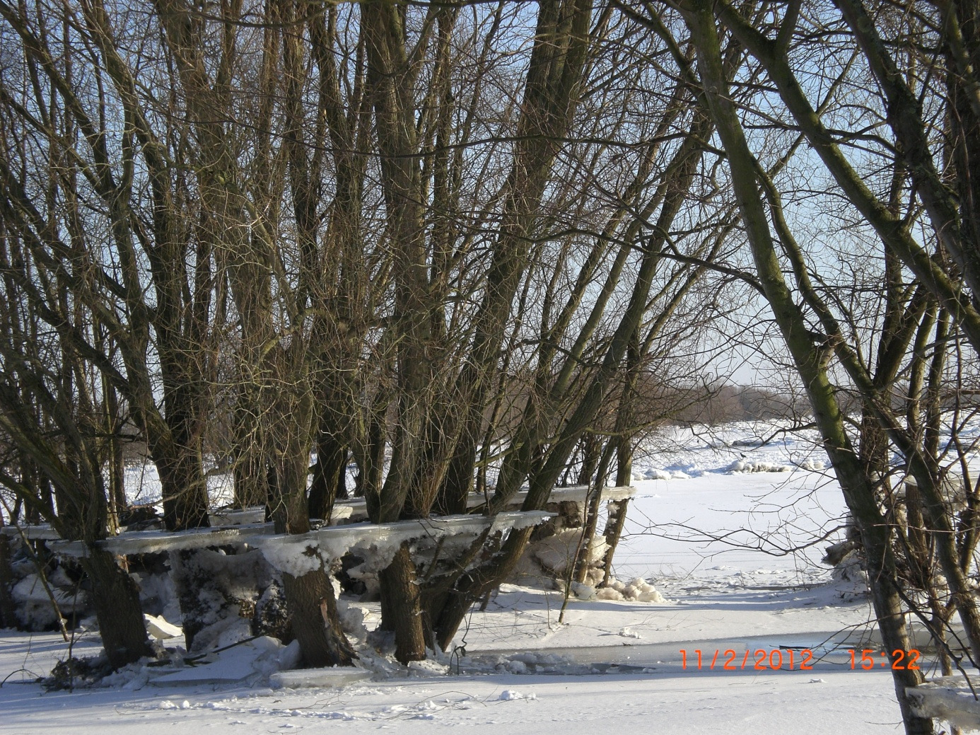 Staatliches Amt für Landwirtschaft und Umwelt Westmecklenburg Hydrologische Kurzdokumentation Elbe-Eisstand Februar 2012 Rückgang des Elbwasserstandes während der Frostperiode (Foto: Kruse privat)