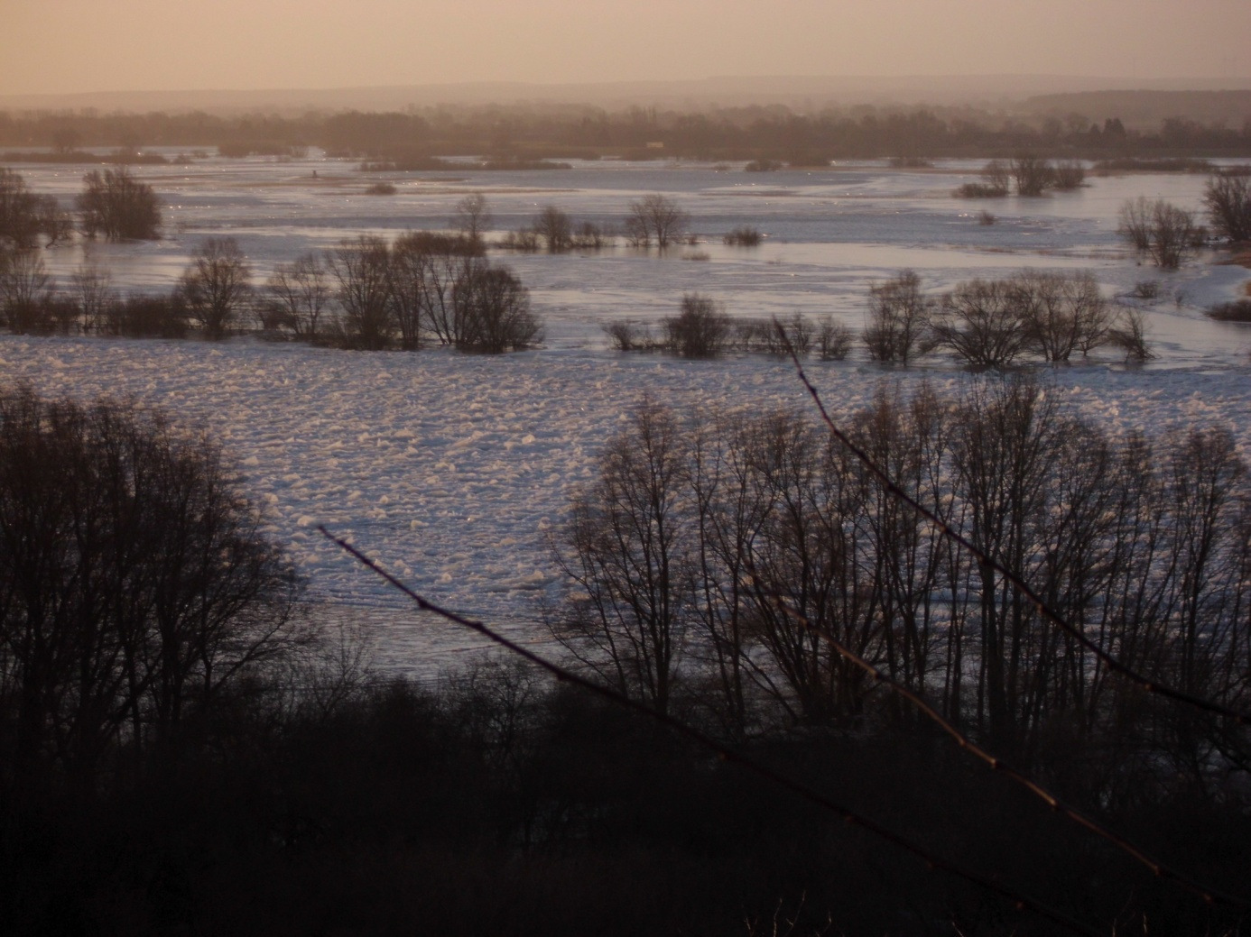 Staatliches Amt für Landwirtschaft und Umwelt Westmecklenburg Hydrologische Kurzdokumentation Elbe-Eisstand Februar 2012 bis zum Elbe-km 538 (ca. 2 km unterhalb Neu Darchau) aus.