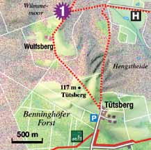 8 9 01 Stühbusch-Wulfsberg Romantische Reste übernutzter Wälder Zwischen Niederhaverbeck und dem Hof Tütsberg, in der Nähe des Wulfsberges, befinden sich seltsame Eichengestalten, die einen Abstecher