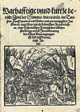 68 in bestimmter Sache, sondern mit unterschiedlichen Nachrichten von allgemeinem Interesse für die damals noch äußerst spärliche Schicht der Lesekundigen, erschien 1606 in Straßburg die Relation die