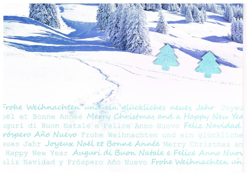 Weihnachtskarten «Fotokarten» A5- Format Doppelkarte mit gedrucktem Sujet