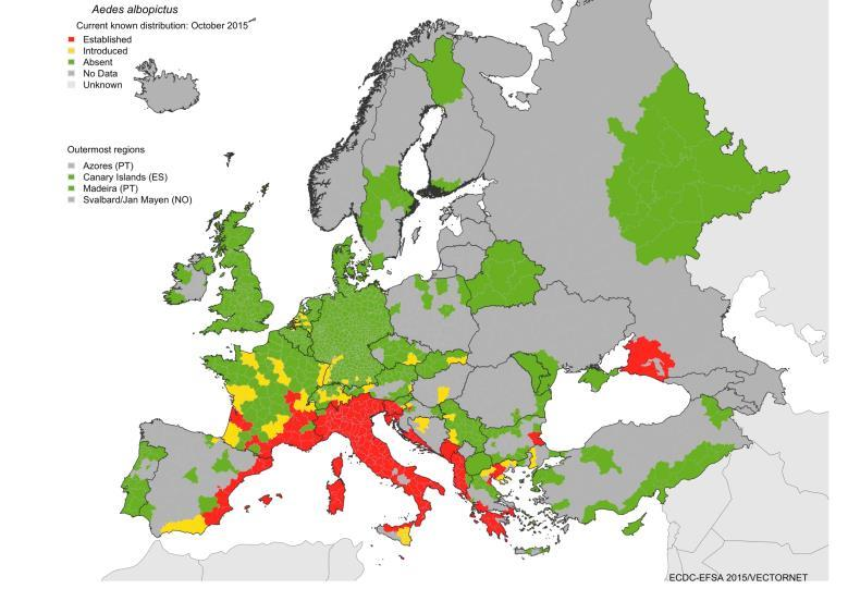 Ausbreitung Aedes albopictus Europa http://ecdc.europa.