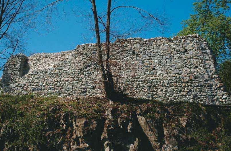 Siegberg Auf einer Waldkuppe im Göfner Ried, Gemeinde Göfis, befinden sich die spärlichen Ruinen der Burg Siegberg.